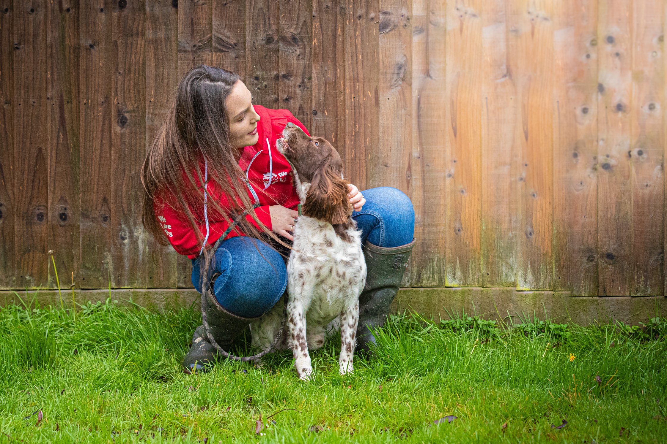 Spaniel cuddles in garden